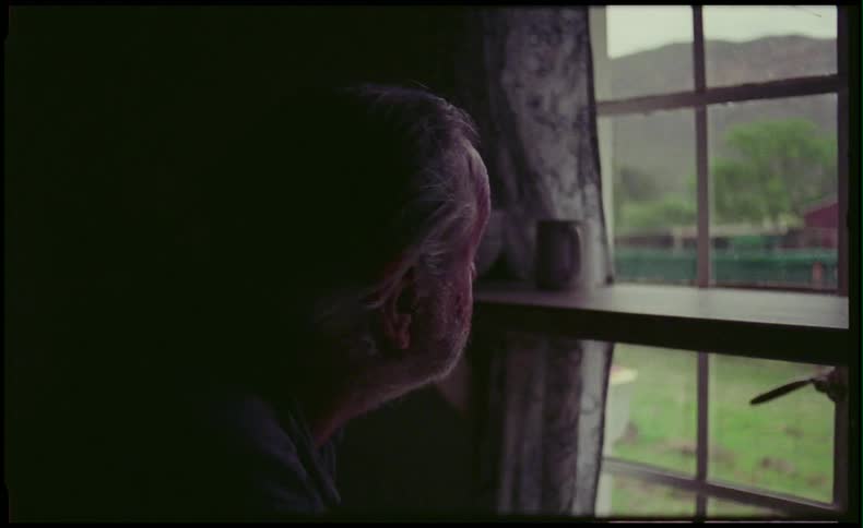 Man looking out of window towards grassy mountain