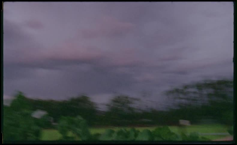 A person runs through rows of plants at dusk