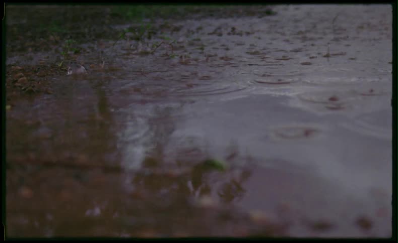 Rain falling on a muddy puddle
