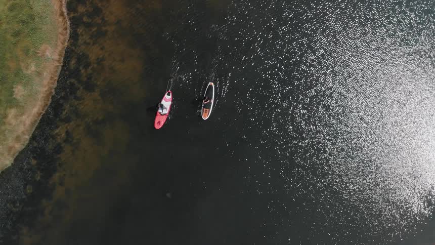 Two people paddle board on the water on a sunny day