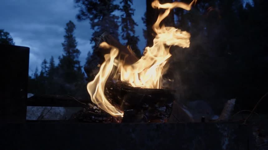 Logs burn in a fire pit at night