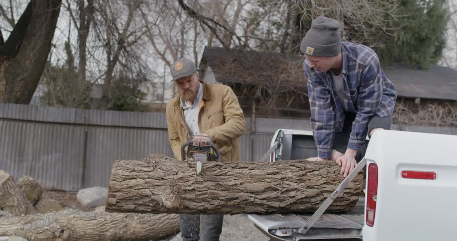 Man using a chainsaw to cut a log while another man holds it from the back of a pickup truck