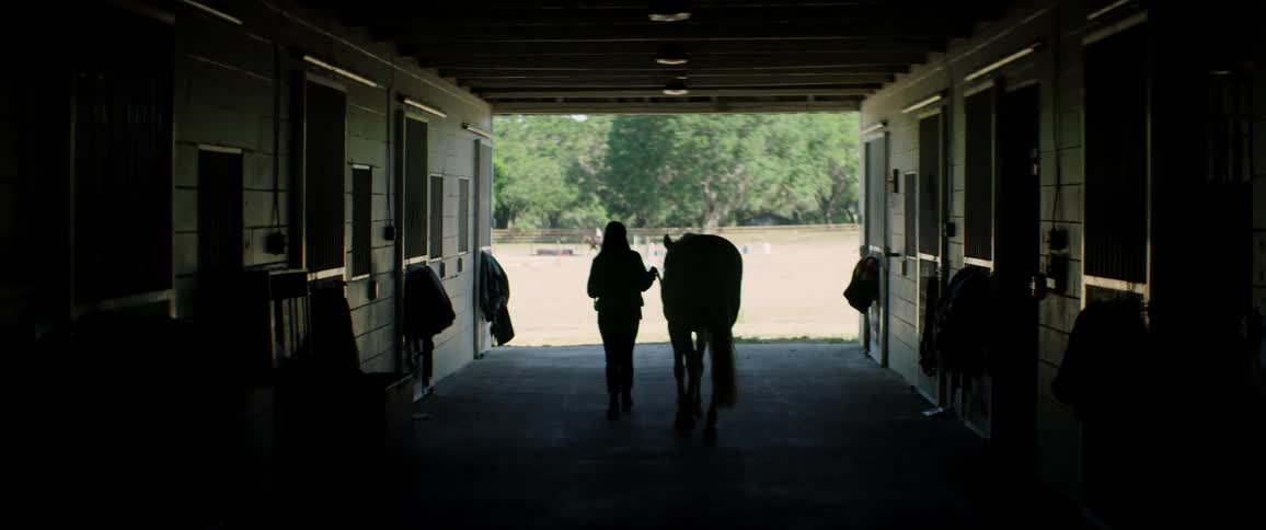 A woman leads a horse out of a stable