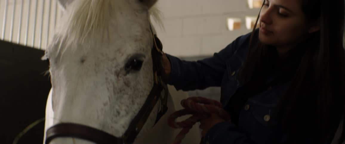 A woman pets a white horse in a stable