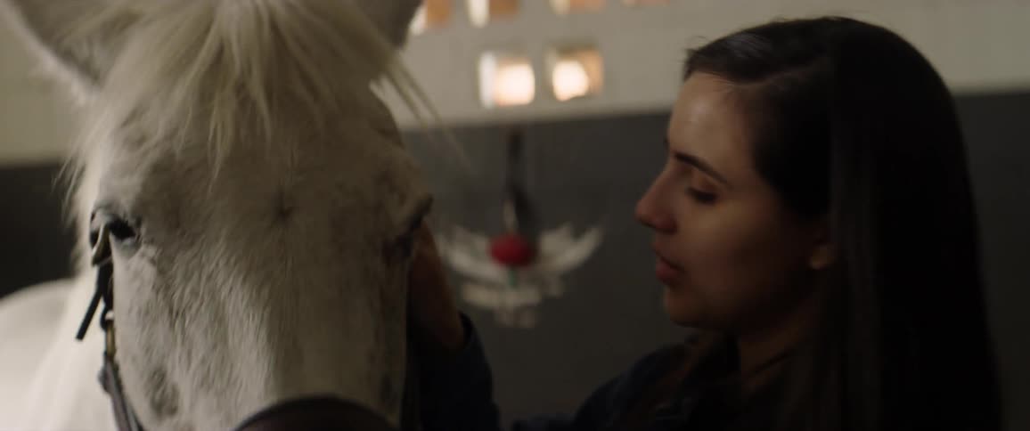 A woman pets a white horse in a stable