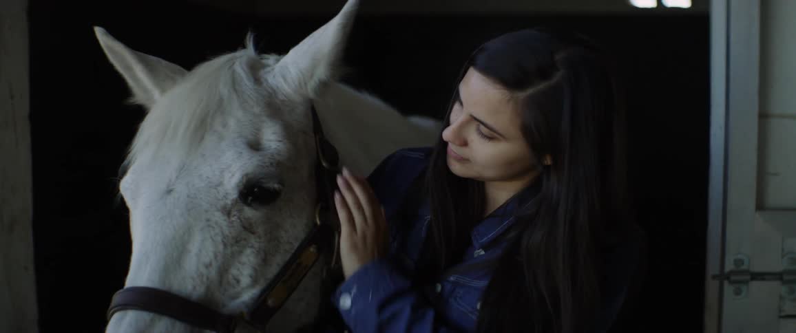 A woman pets a white horse