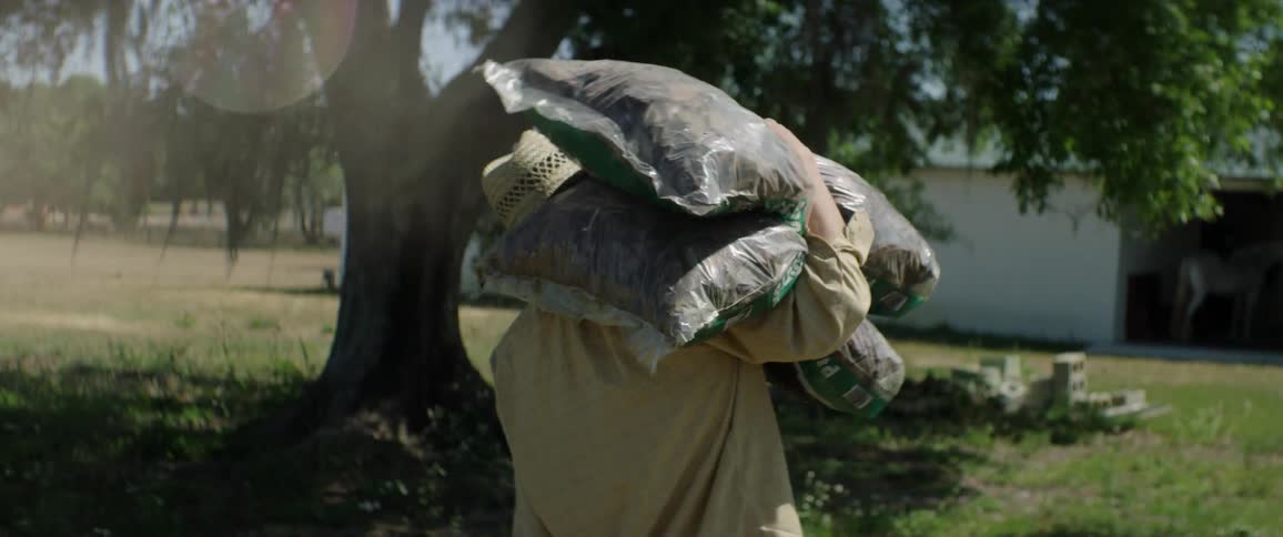 A man carries bags of mulch under a tree