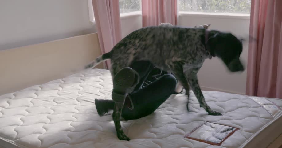 A man and woman play with their dog in bed