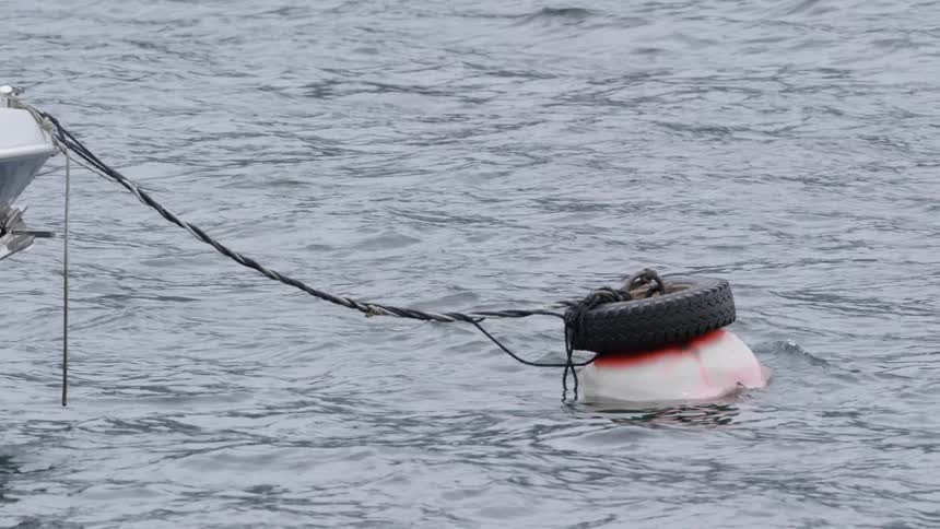 A buoy tied to a boat that is floating in water