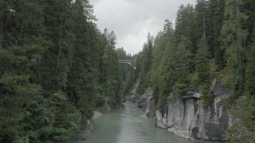 A river runs through a gorge in a forest on an overcast day