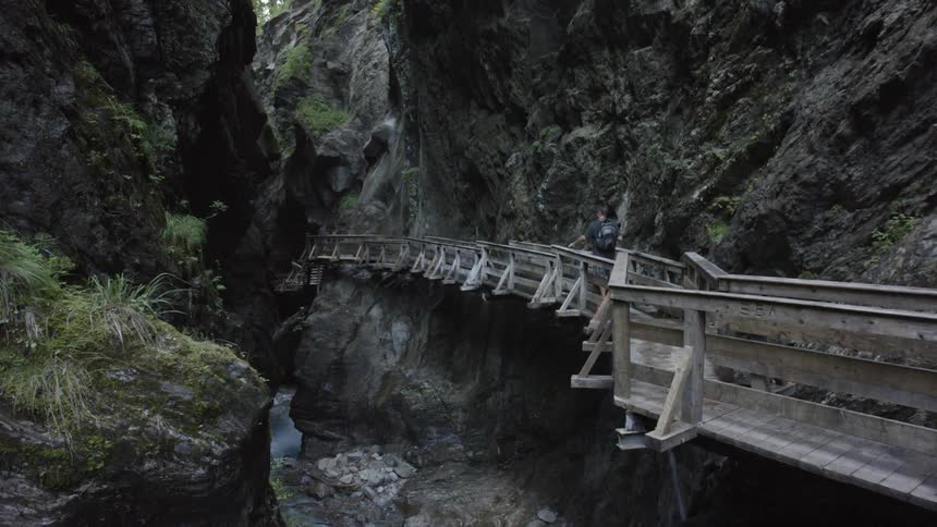 Person walking on a bridge through a wilderness area