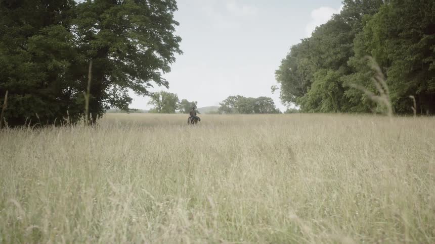 Man rides a horse in a field near trees