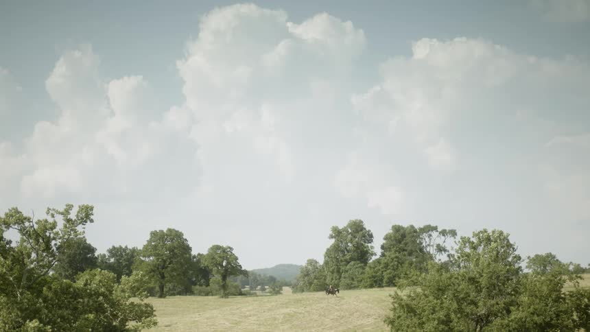 A person on a horse rides ahead on the hill