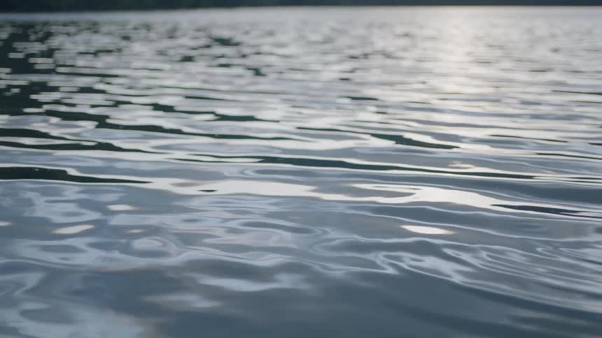 Water ripples on a lake