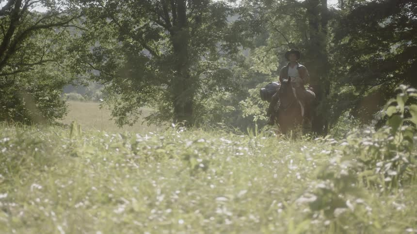Cowboy rides a horse through a grassy field