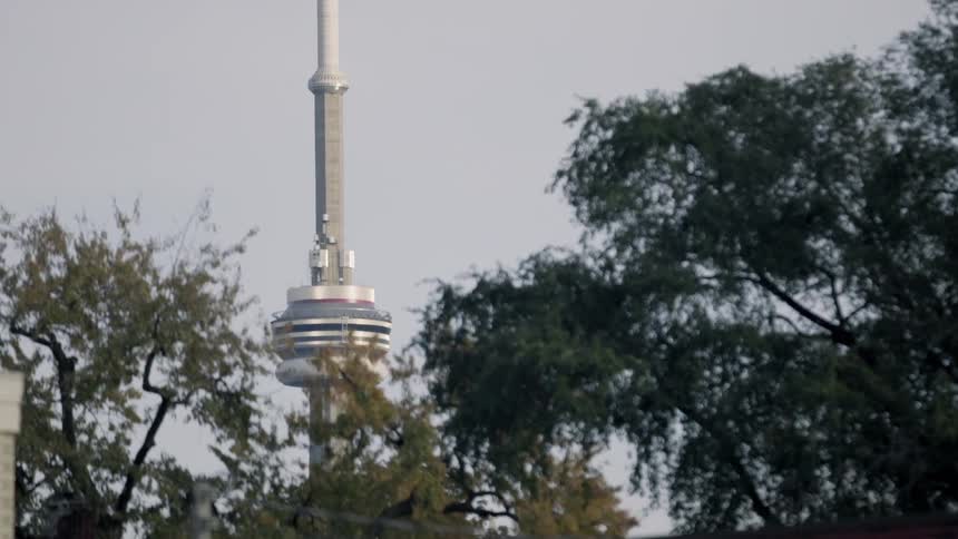 The space needle is visible from a park