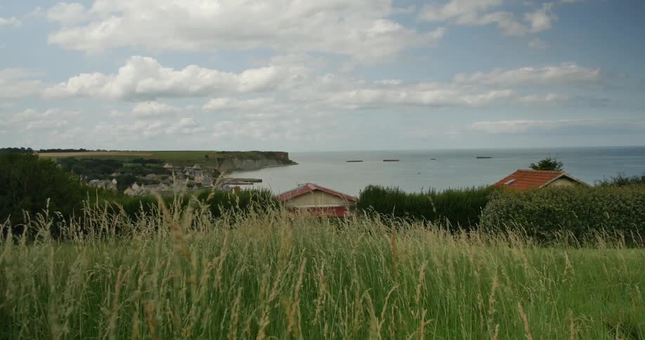 The wind blows grass on the coast