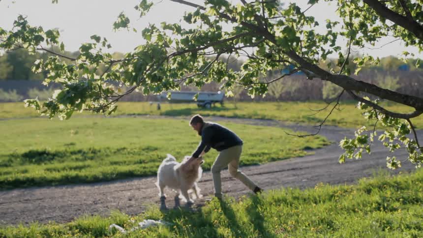 Man walks his happy dog on a sunny day