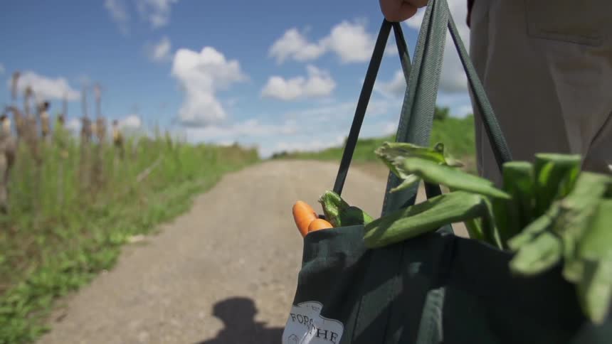 A person walks down a dirt path through fields while carrying a bag of vegetables