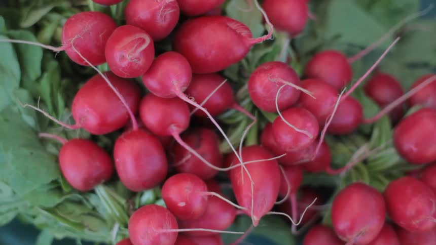 Bunch of red vegetables in a bush