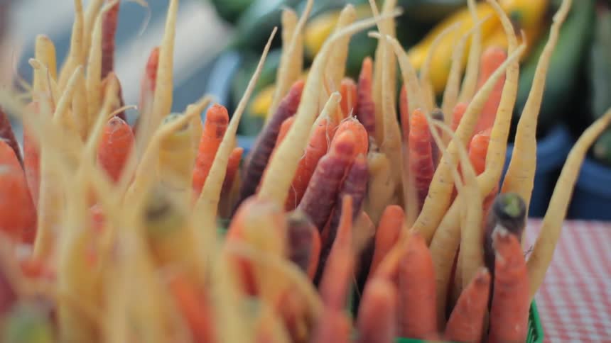 View of bunches of carrots on a table