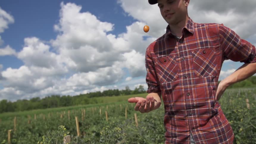 A man tosses and catches a tomato in a crop field