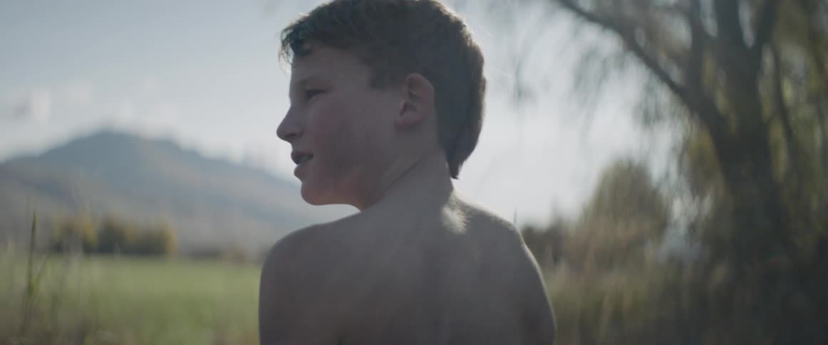 Young boy looks at a field while another young boy stands near a tree