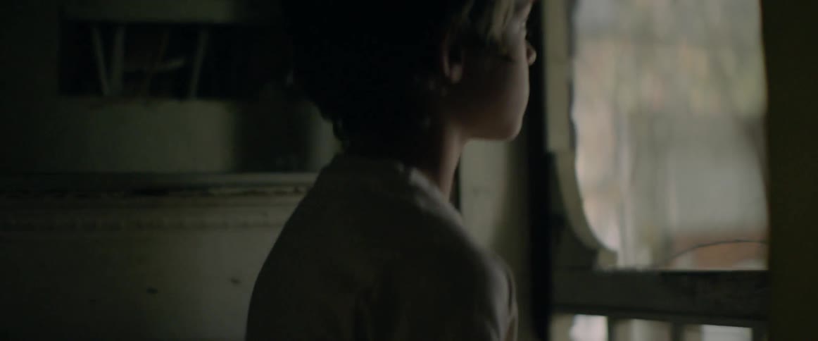 A boy looks out of a window