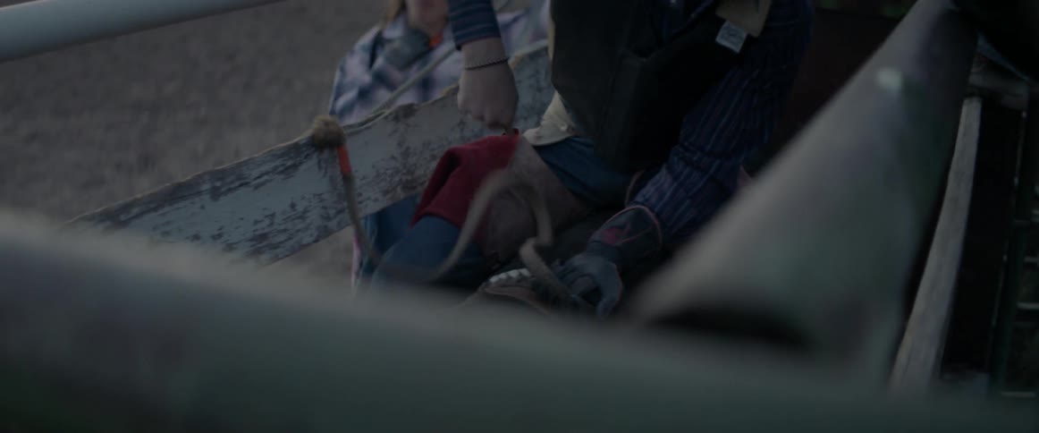 A bull rider adjusts his straps on a bull