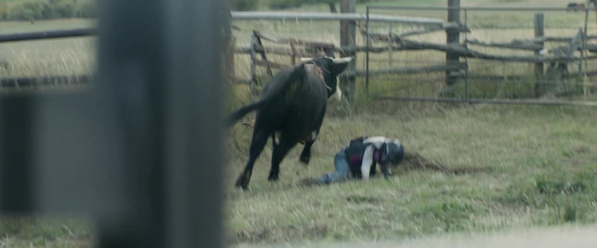 Someone is riding a bull and falls off