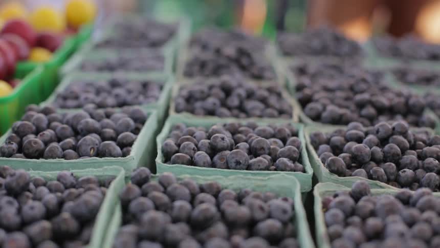 Pints of blueberries lined up for sale