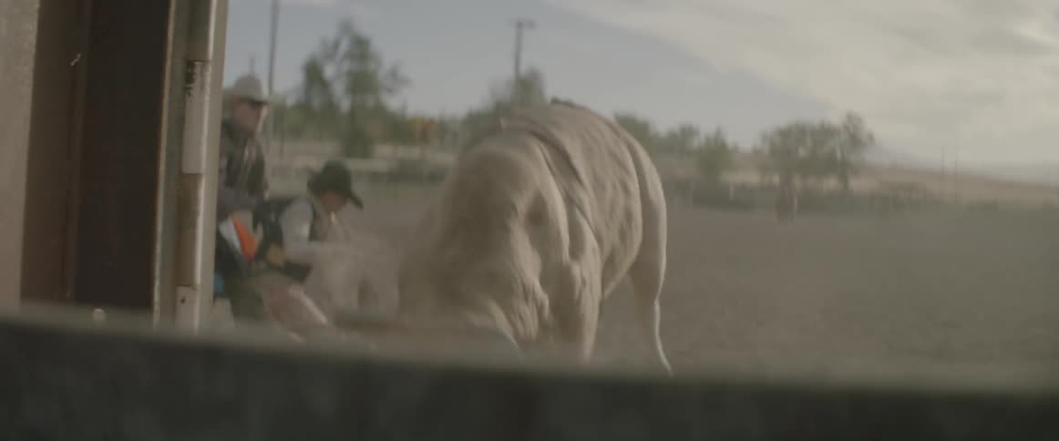 Man rides a bull on a ranch