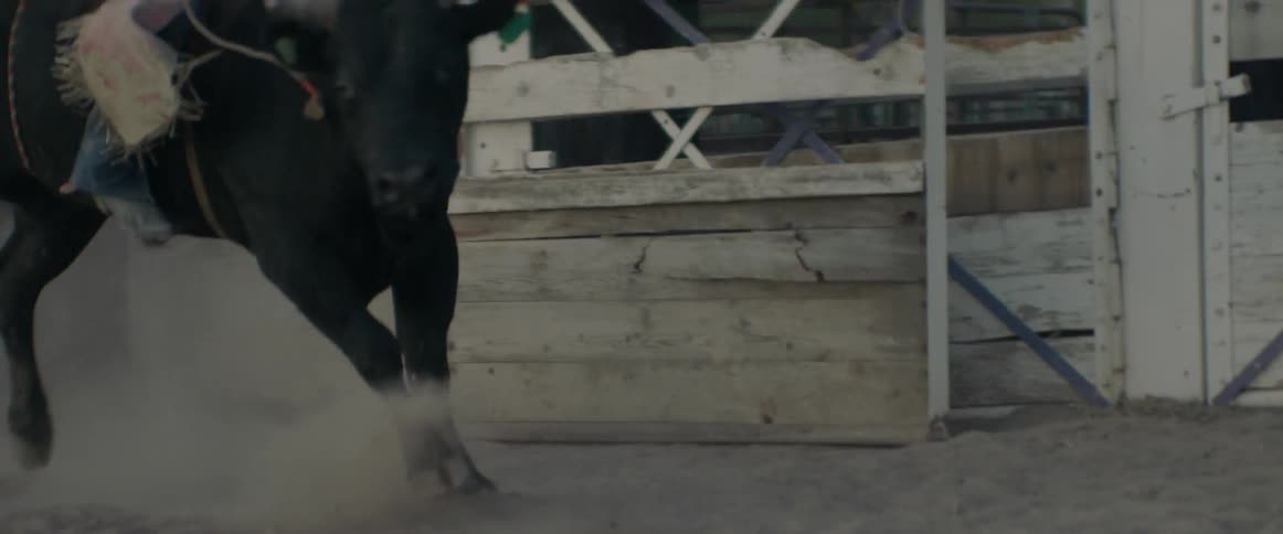 Cowboy rides a bull in a rodeo arena