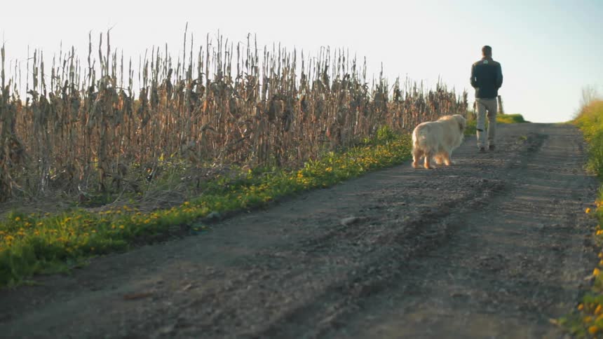 Man walking up a trail with a dog