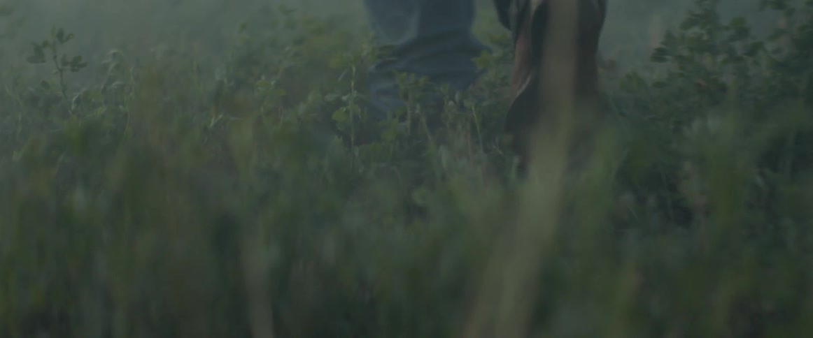 A man walks through a hazy field