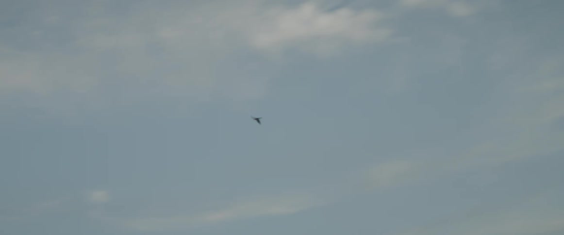 A bird flies through a cloudy sky