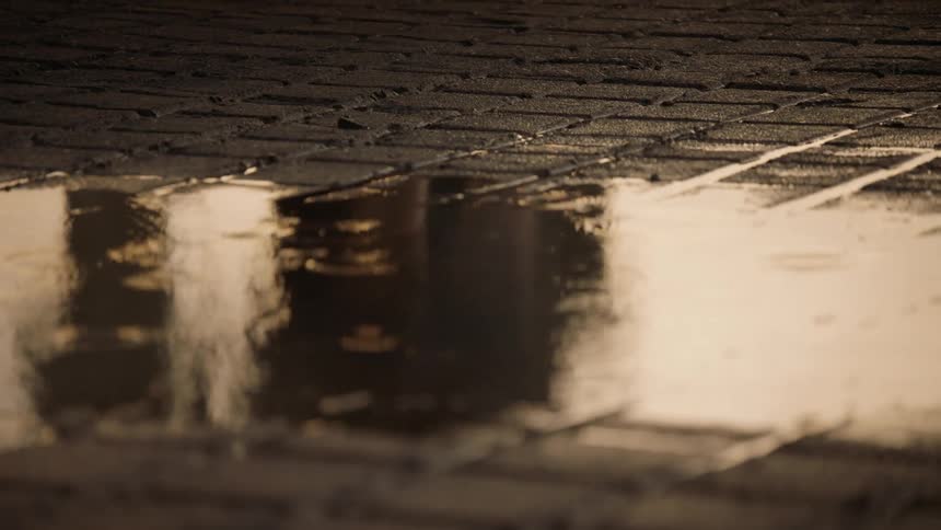 Water puddles on a cobblestone walkway