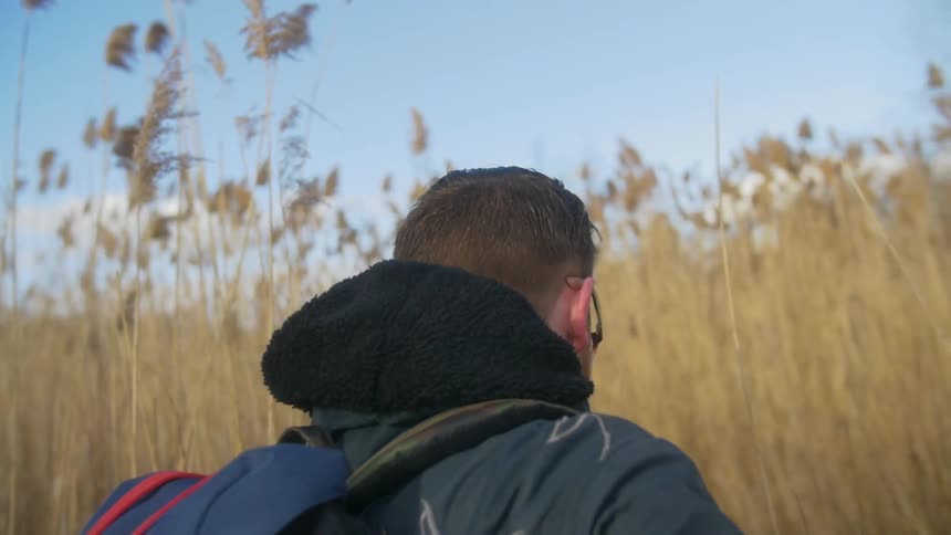 A man wearing a coat and backpack hikes through very tall grass and reeds
