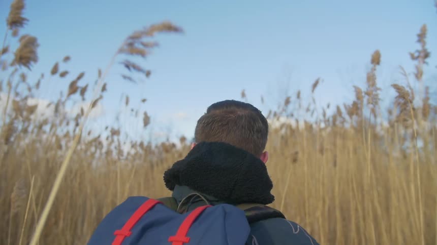 Man wearing a backpack walking through tall weeds on a sunny day