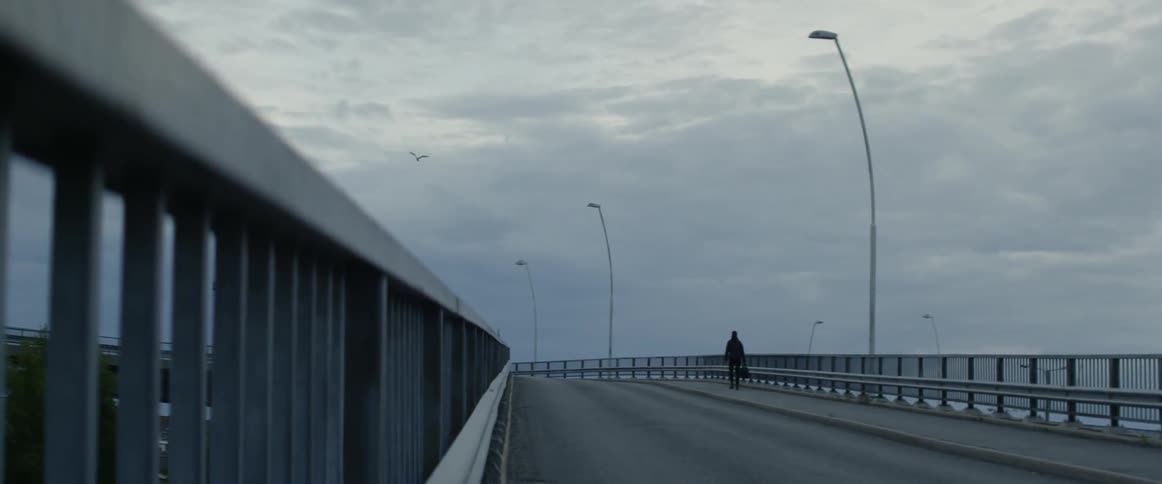 A man walks on a bridge as a bird flies above him