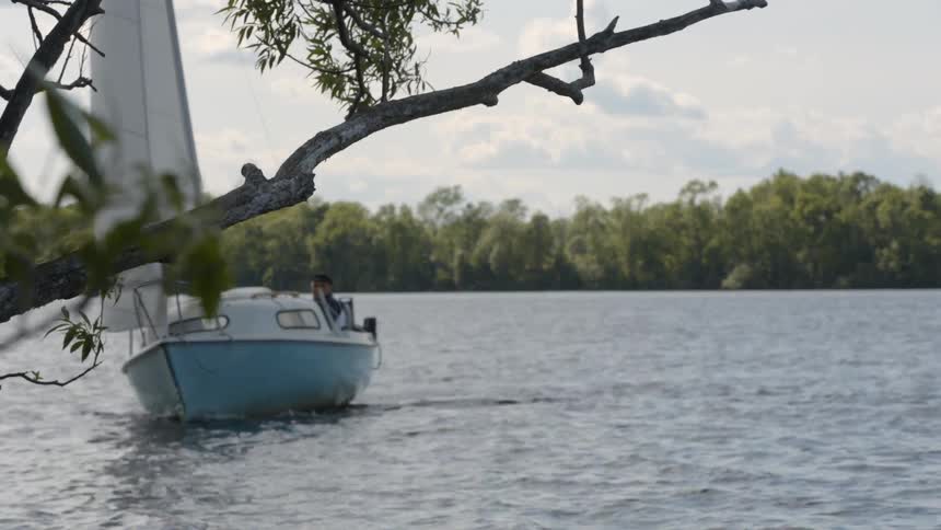 A sailboat makes a sharp turn near a tree