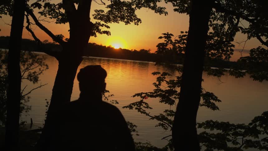 A person sitting among the trees watching the sunset over water