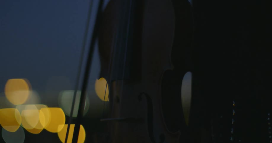 A person is holding a violin at dawn