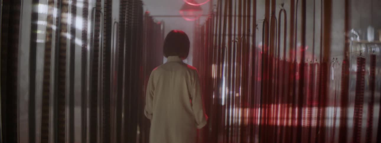 A woman walks through rows of hanging filmstrip