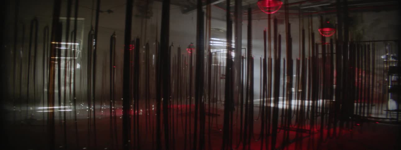 A woman walks in a room with strips of film hanging in it