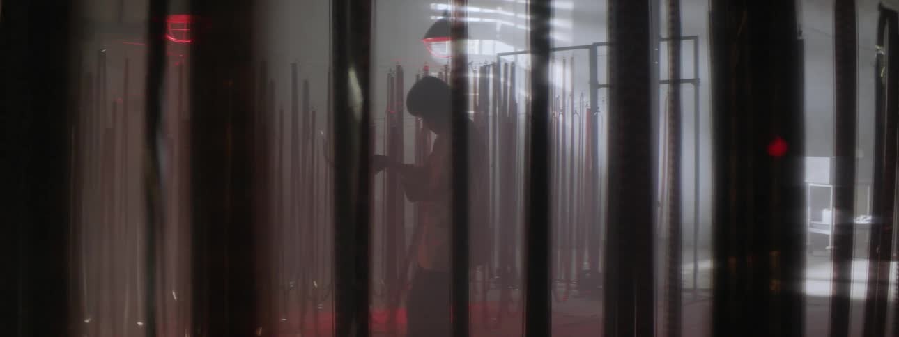 A woman inspects hanging rolls of film