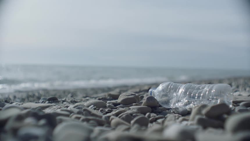 An empty water bottle sits on a rocky beach