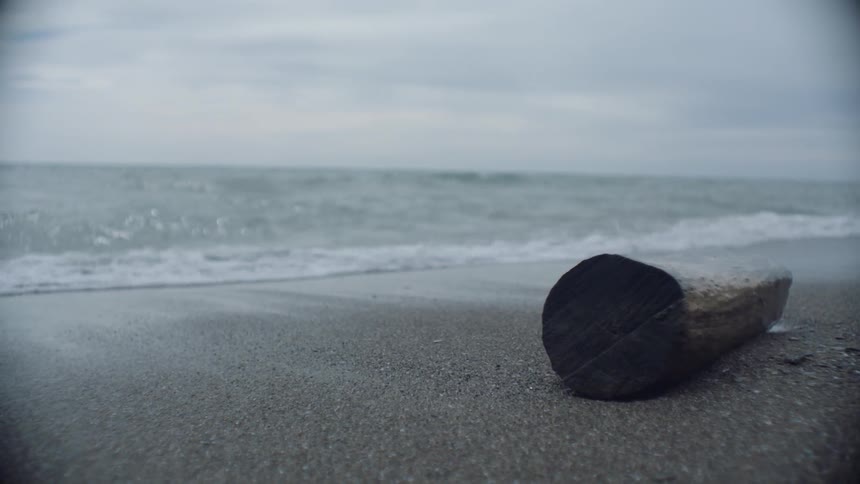 Waves crash on the sand onto the log
