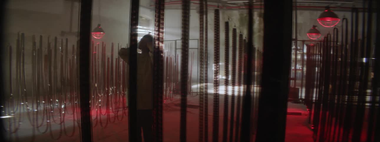 An asian woman holds her hands to her head in a room with developing film