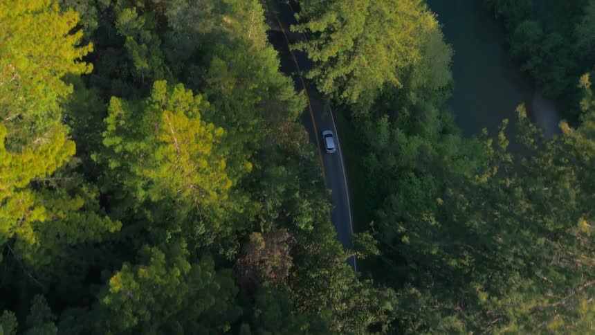 A car drives down the small road between the trees